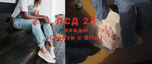 шишки Бородино